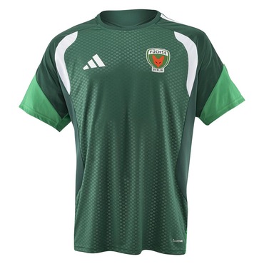 Füchse Berlin Trainingsshirt 26/27 grün