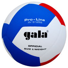 Volleyball BV5125S PRO-LINE