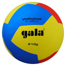 Volleyball BV5555S TRAINING 210 g