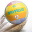 Sunsetter Beachvolleyball, DVV2 zertifiziert rainbow