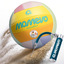 Sunsetter Beachvolleyball, DVV2 zertifiziert mit Ballpumpe rainbow