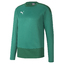 teamGOAL 23 Training Sweat peppergreenpowergreen