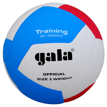 Volleyball BV5565S TRAINING
