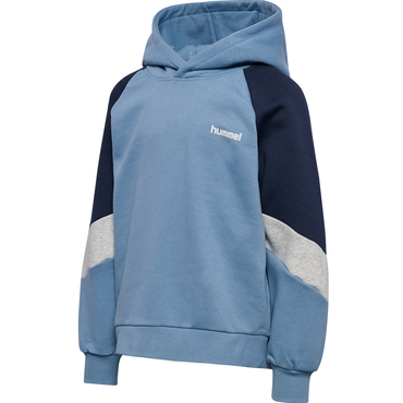 hmlJR LOOSE BLOCKED HOODIE