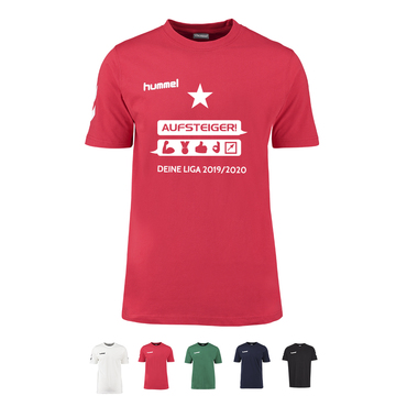 14er SET WPH HUMMEL AUFSTEIGERSHIRT