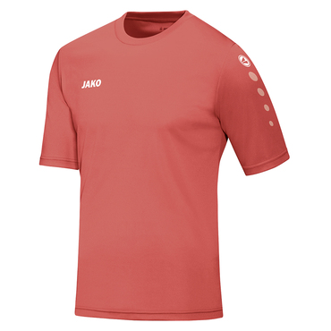 Trikot Team KA