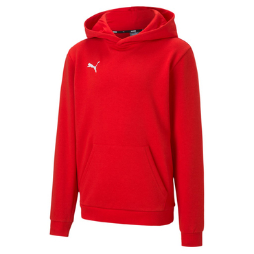 teamGOAL 23 Casuals Hoody Jr