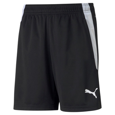 TEAMLIGA TRAINING SHORTS JR