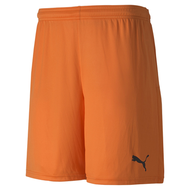 teamGOAL 23 knit Shorts