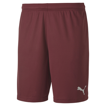 teamGOAL 23 knit Shorts