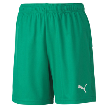 teamGOAL 23 knit Shorts jr