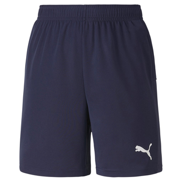 teamGOAL 23 knit Shorts jr