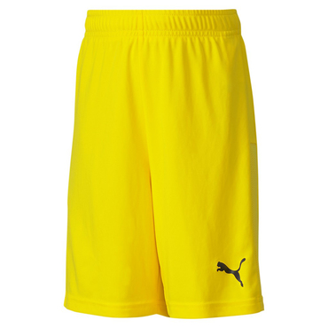 teamGOAL 23 knit Shorts jr