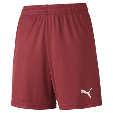 teamGOAL 23 knit Shorts jr