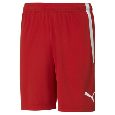 TEAMLIGA SHORTS