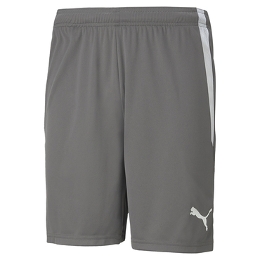 TEAMLIGA SHORTS