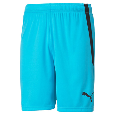 TEAMLIGA SHORTS