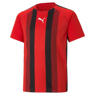 TEAMLIGA STRIPED JERSEY JR