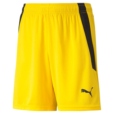 TEAMLIGA SHORTS JR