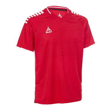 Maillot Monaco v24