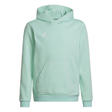 ENTRADA 22 SWEAT HOODIE