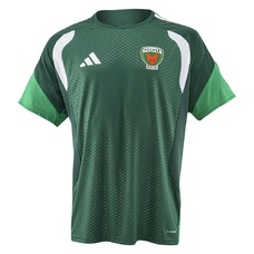 Füchse Berlin Trainingsshirt 26/27 grün-2468016