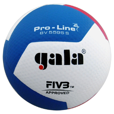 Volleyball BV5595S PRO-LINE