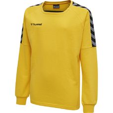 HMLAUTHENTIC KIDS TRAINING SWEAT