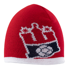 Logo Beanie-2347419