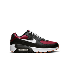 Chaussures Air Max 90 LTR Big Kids