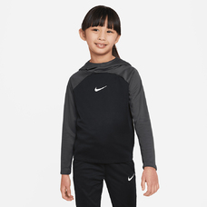 Dri-FIT Academy Pro Little Kids' Pullover Hoodie