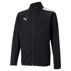 TEAMLIGA TRAINING JACKET JR