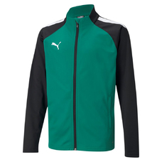 TEAMLIGA TRAINING JACKET JR