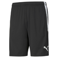 TEAMLIGA TRAINING SHORTS