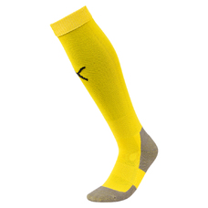 Team LIGA Socks CORE