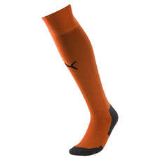 Team LIGA Socks CORE