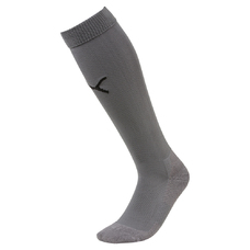 Team LIGA Socks CORE