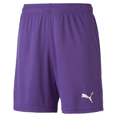 teamGOAL 23 knit Shorts jr