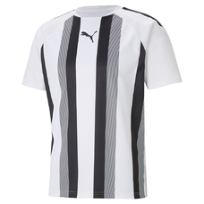 TEAMLIGA STRIPED JERSEY