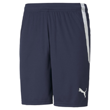 TEAMLIGA SHORTS