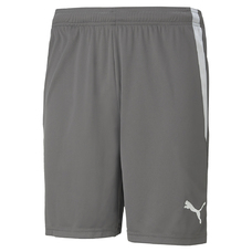 TEAMLIGA SHORTS