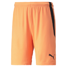 teamLIGA Shorts