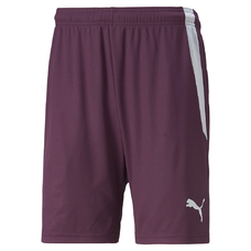 teamLIGA Shorts