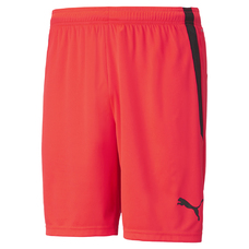 TEAMLIGA SHORTS