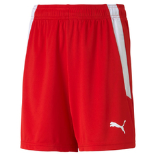 TEAMLIGA SHORTS JR