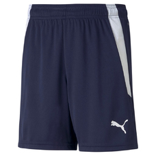 TEAMLIGA SHORTS JR